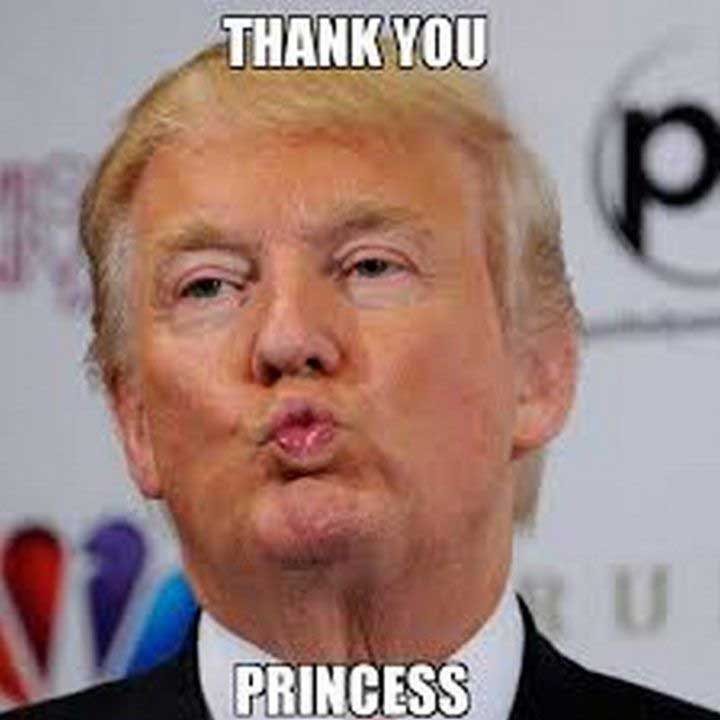 President Trump Thank You Memes Zip File Downlaod